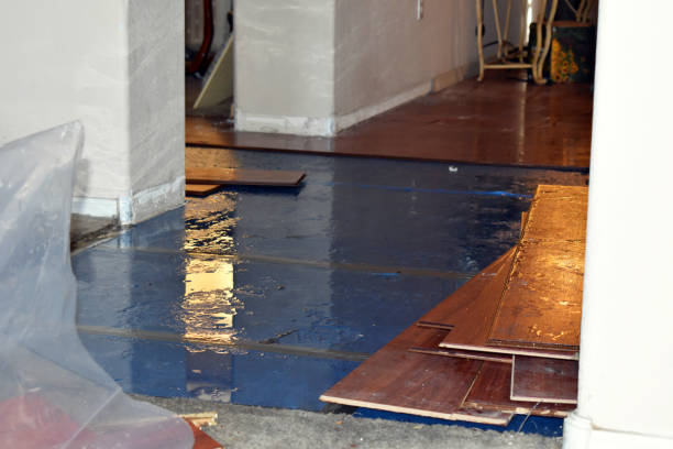 Professional Water Damage technician working in Pentress, WV
