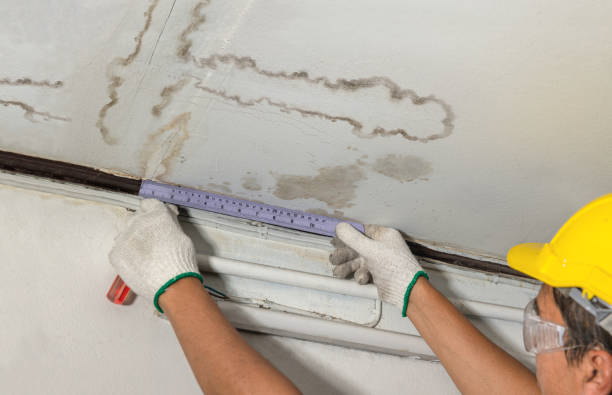 Reliable Water Damage contractor in Pentress, WV by Water Damage Irwin